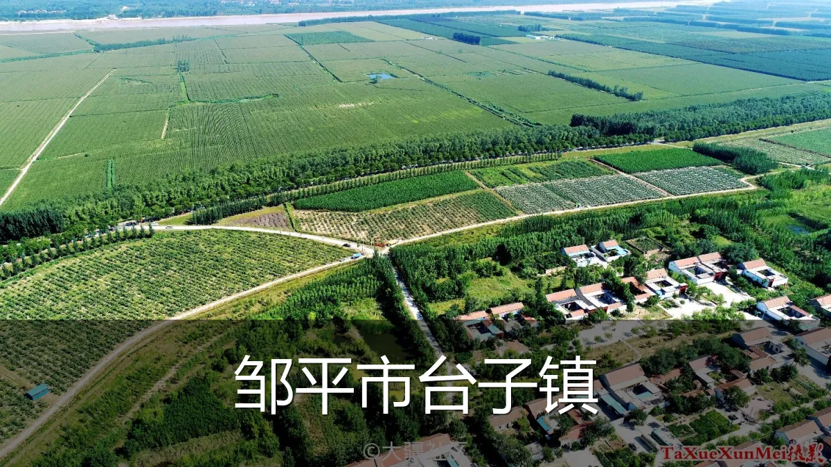 邹平市台子镇