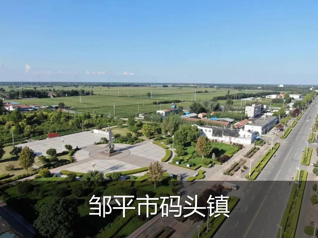 邹平市码头镇